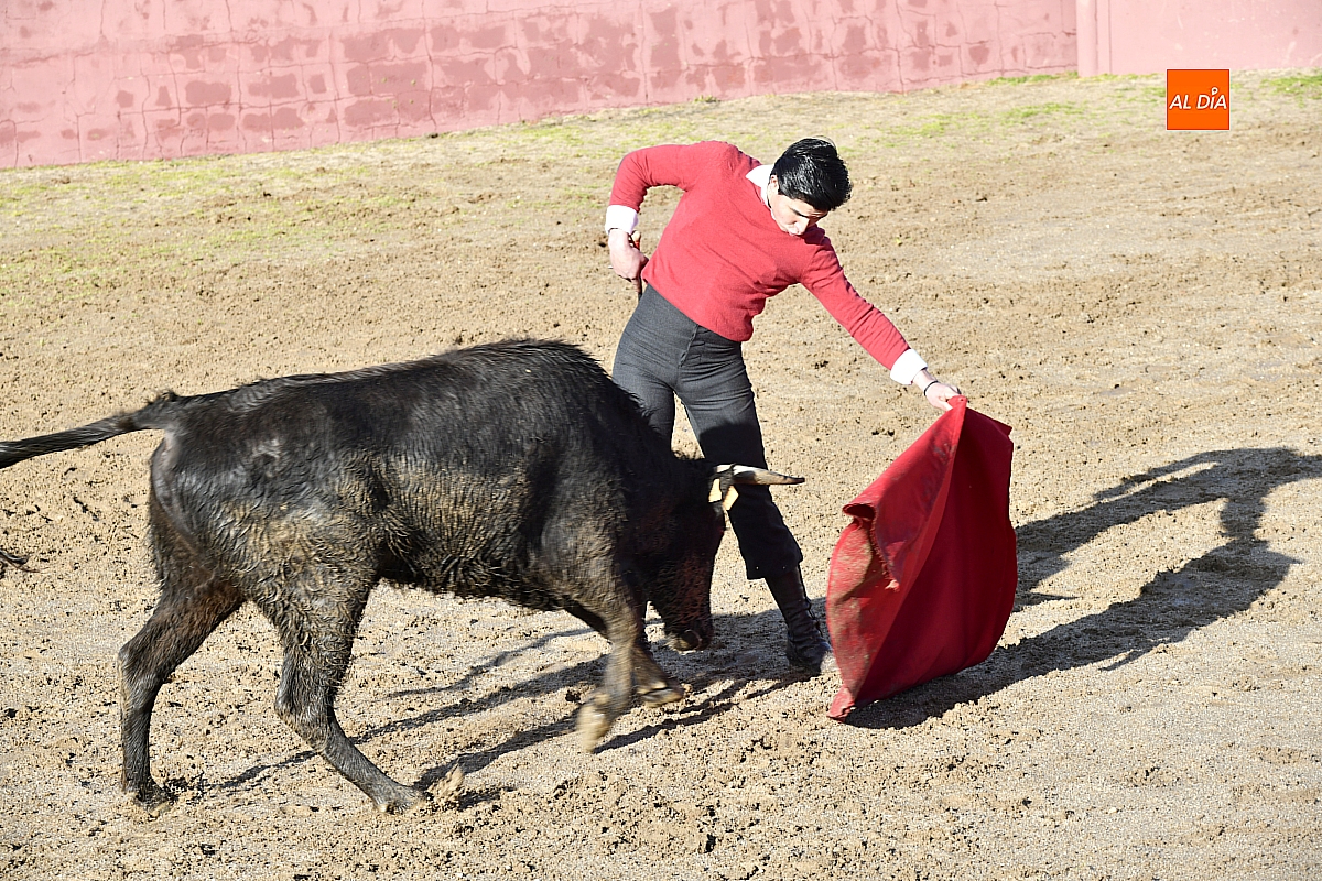 Dos salmantinos para la final del Bolsín Taurino  de Ciudad Rodrigo