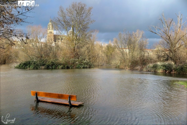 Crecida del río Tormes en Salamanca 