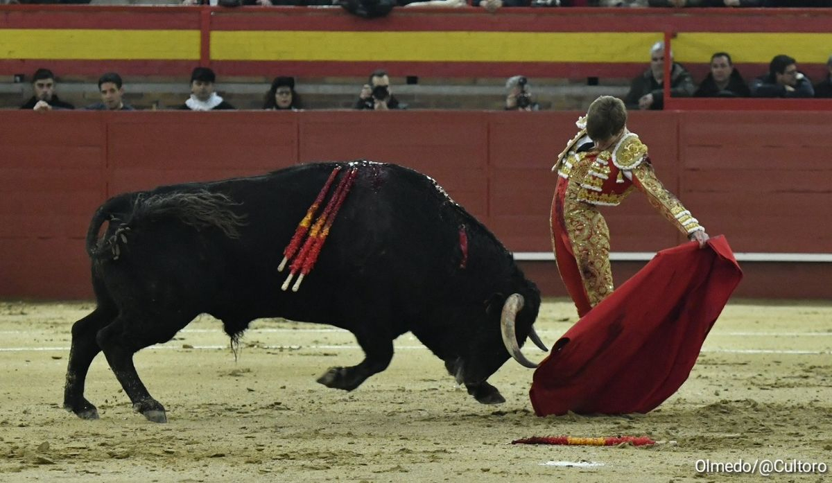El Capea se lleva el premio al mejor toro de la Feria de Valdemorillo