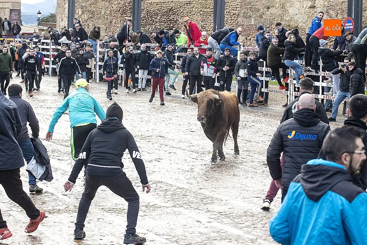 Toro del Aguardiente Ciudad Rodrigo