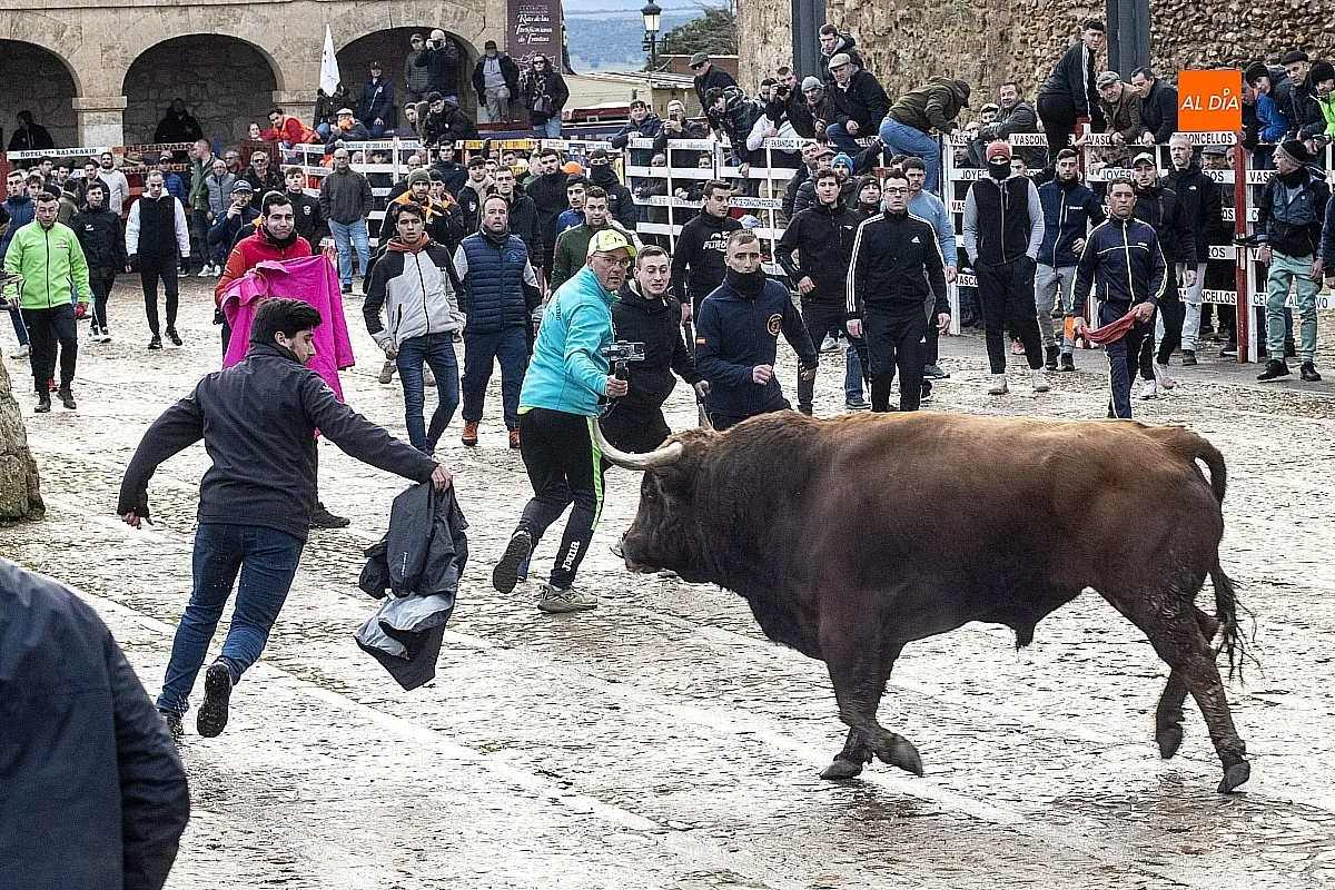 Toro del Aguardiente Ciudad Rodrigo