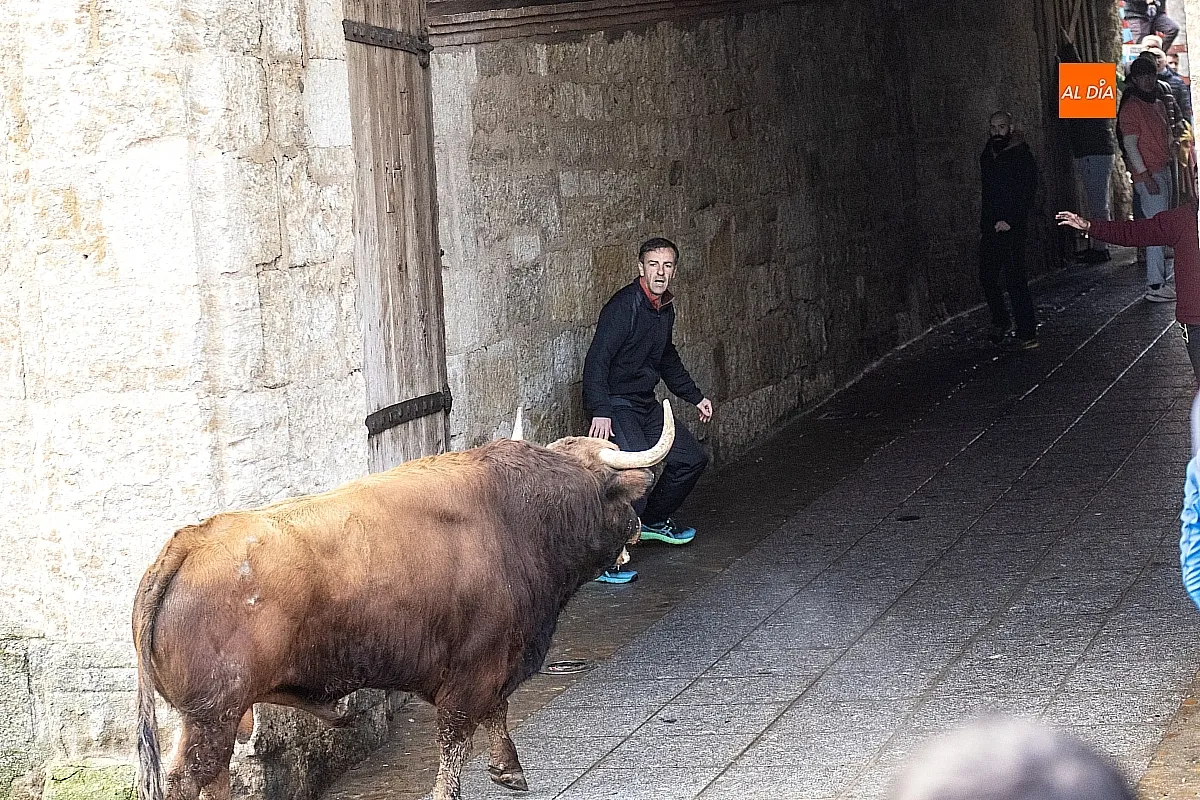 Toro del Aguardiente Ciudad Rodrigo