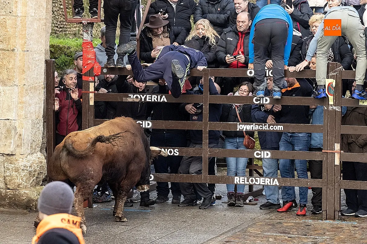 Toro del Aguardiente Ciudad Rodrigo