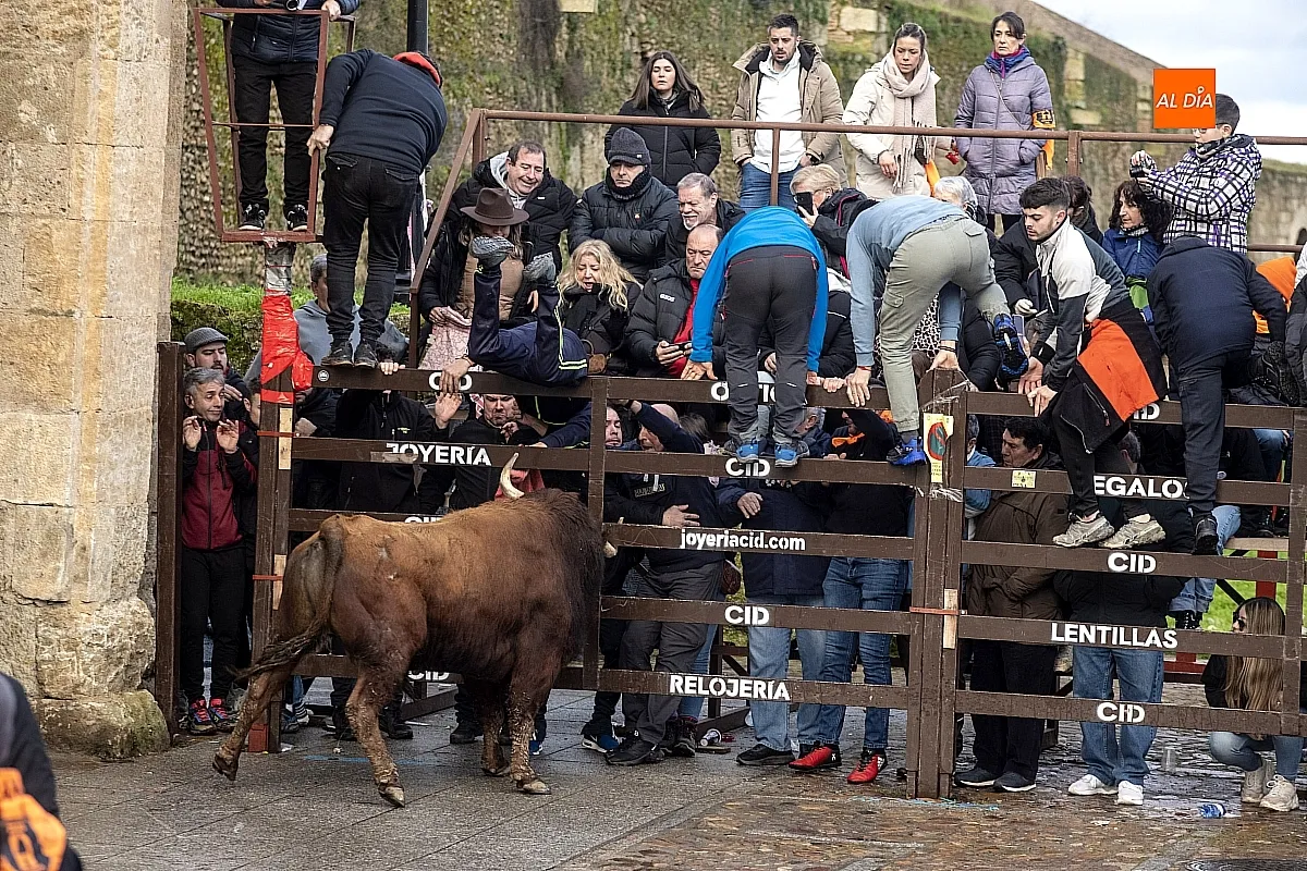 Toro del Aguardiente Ciudad Rodrigo