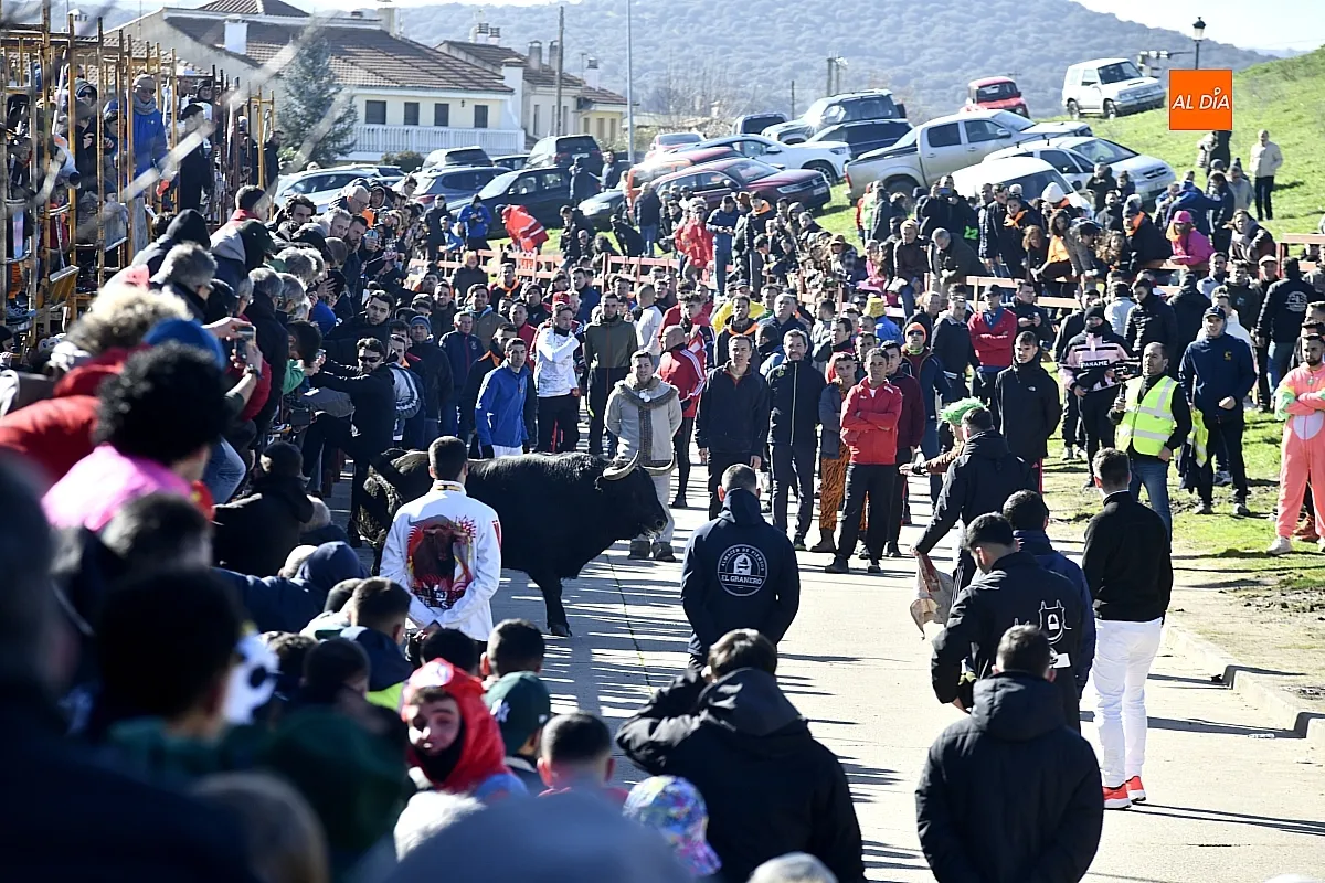 Toro del Antruejo