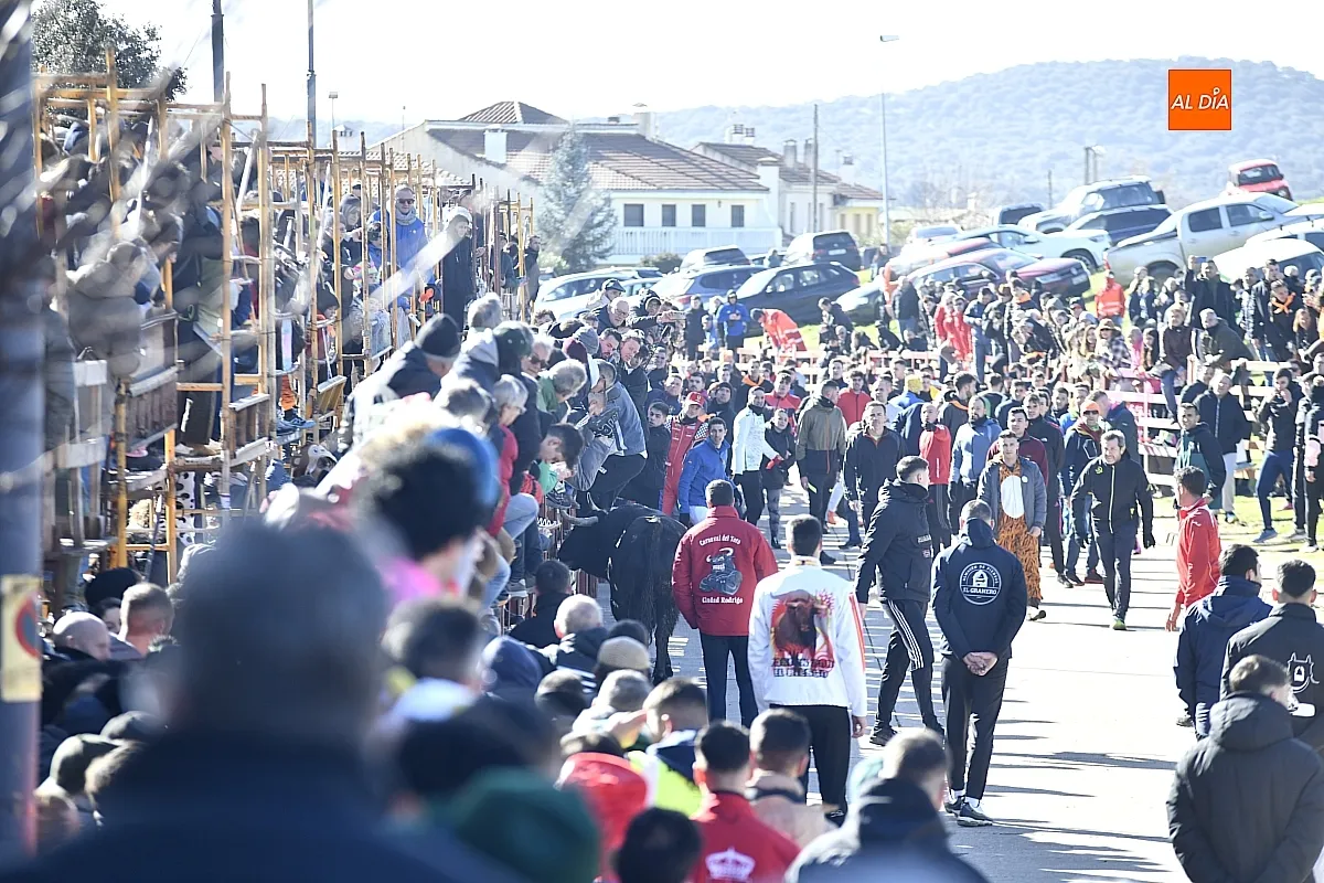 Toro del Antruejo