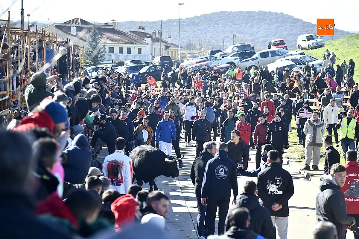 Toro del Antruejo