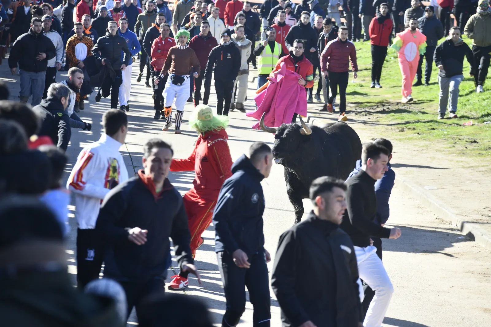 Toro del Antruejo