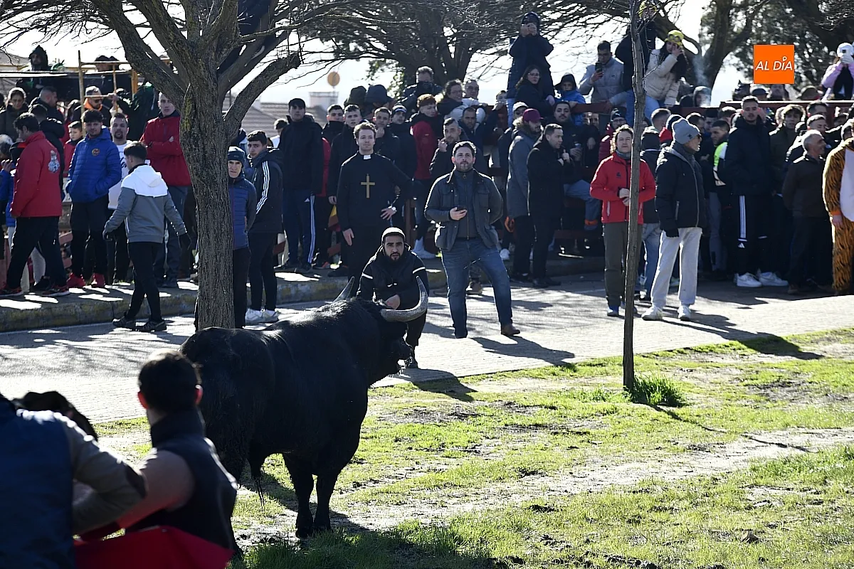 Toro del Antruejo