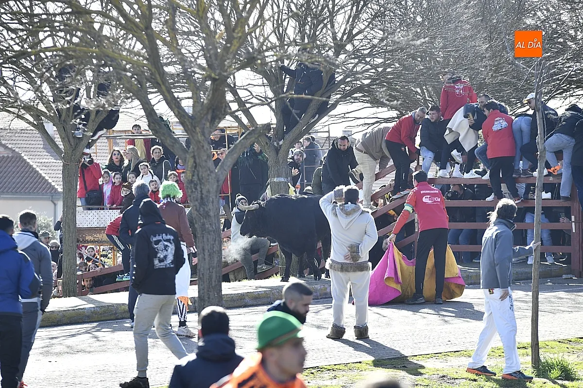 Toro del Antruejo