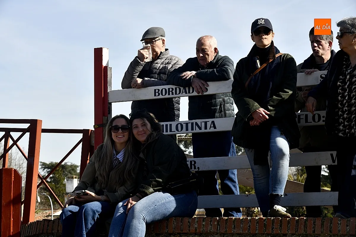 Vaquillas domingo de Piñata