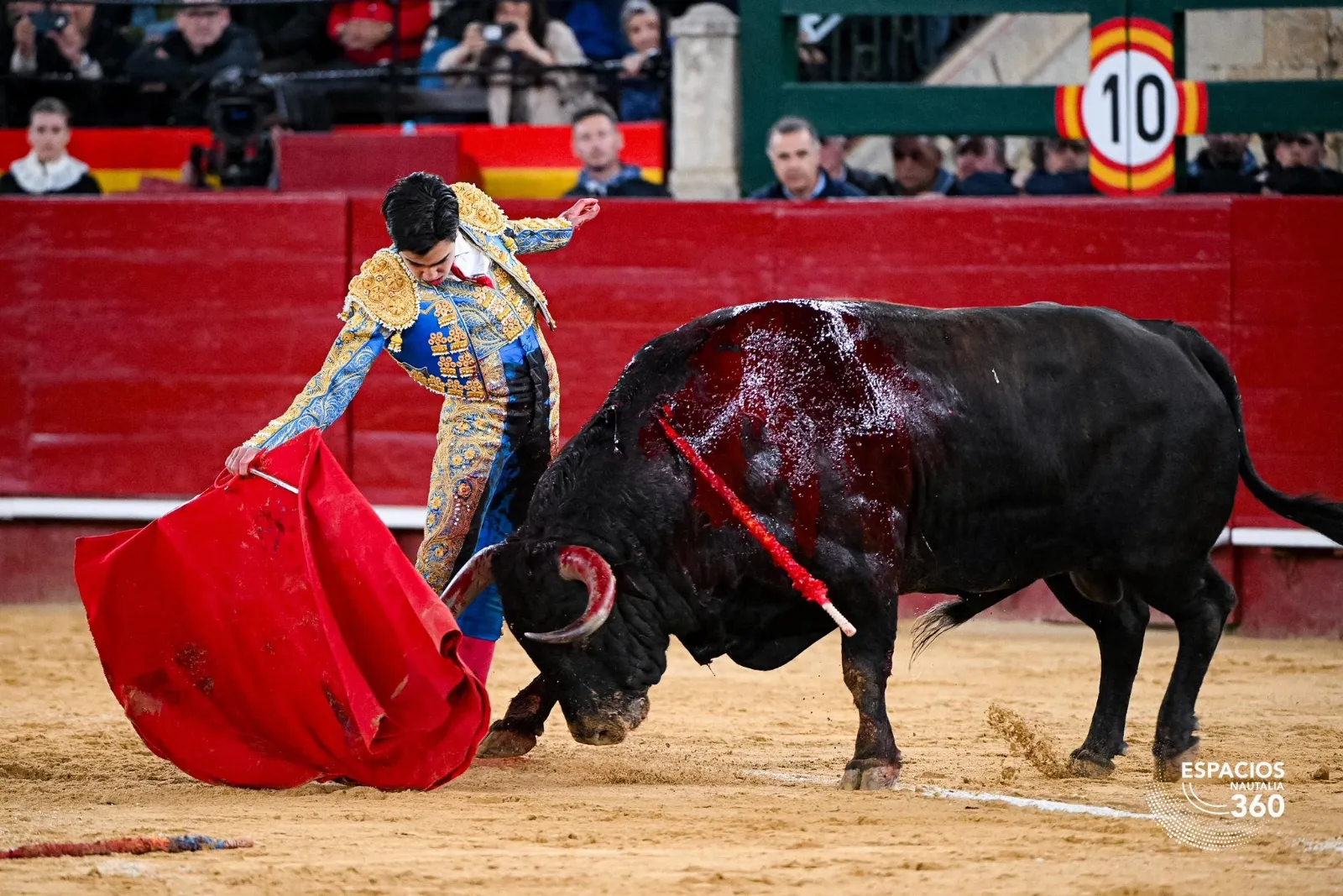 Marco Pérez triunfa en Fallas | Fotos: Plaza de toros de Valencia