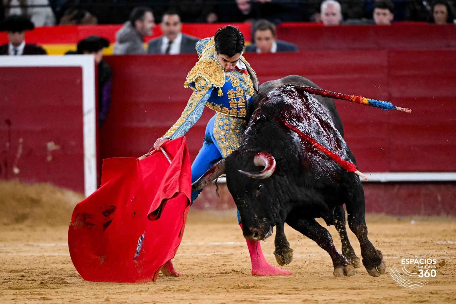 Marco Pérez triunfa en Fallas | Fotos: Plaza de toros de Valencia
