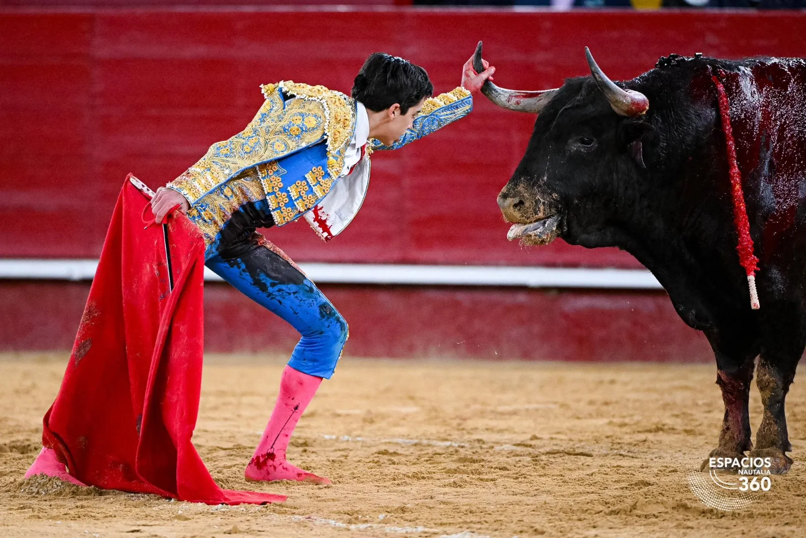 Marco Pérez triunfa en Fallas | Fotos: Plaza de toros de Valencia