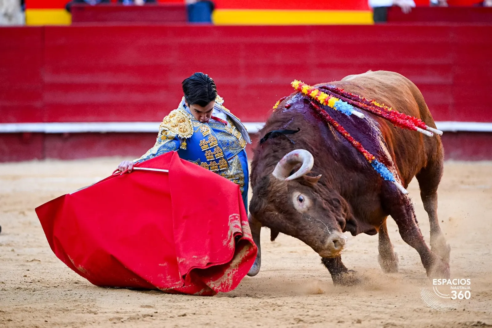 Marco Pérez triunfa en Fallas | Fotos: Plaza de toros de Valencia