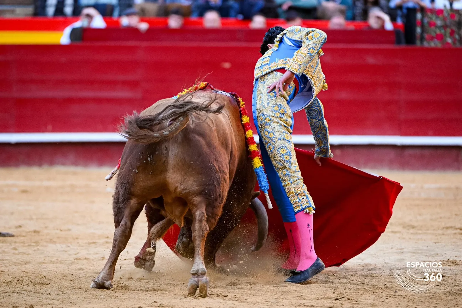 Marco Pérez triunfa en Fallas | Fotos: Plaza de toros de Valencia