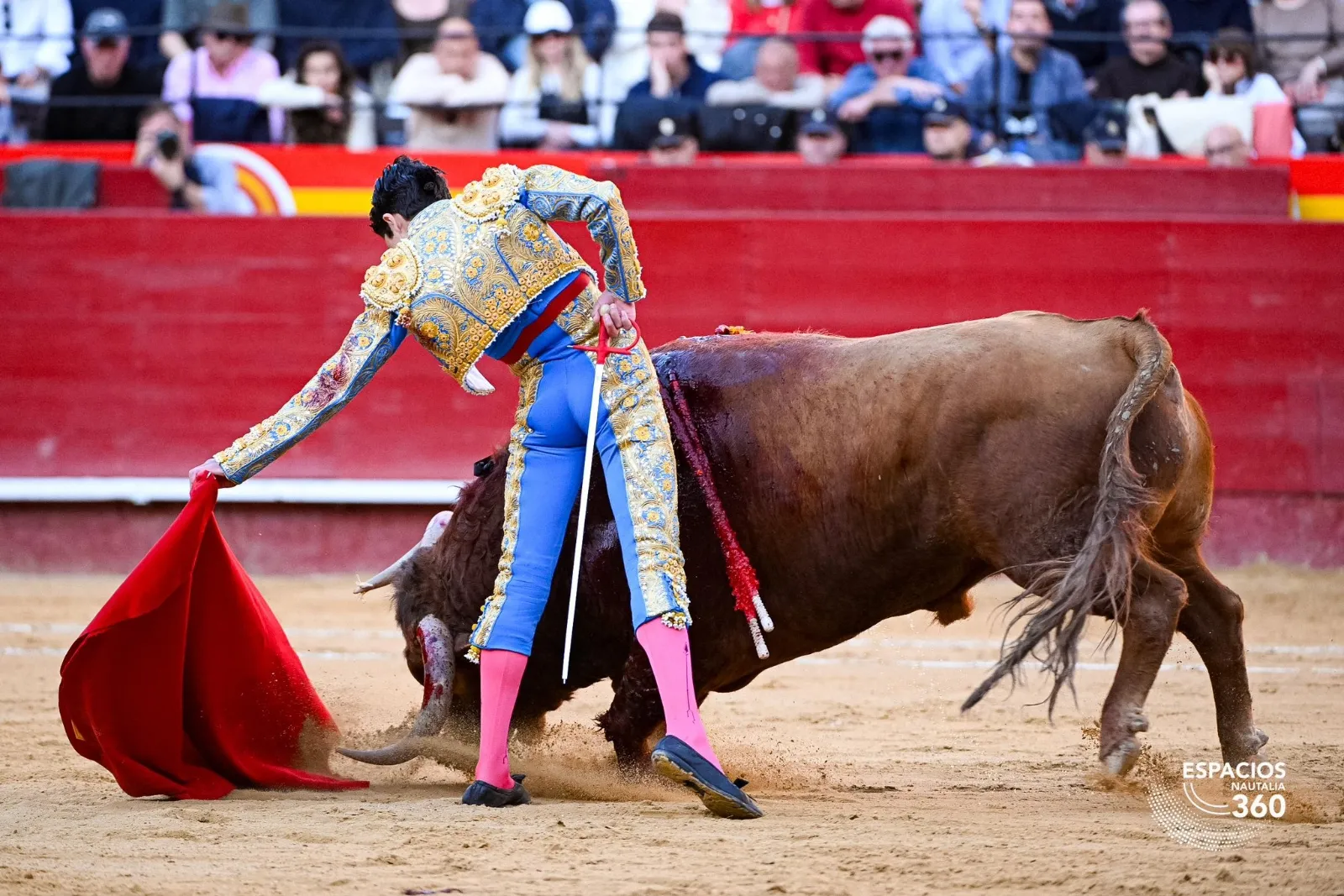 Marco Pérez triunfa en Fallas | Fotos: Plaza de toros de Valencia