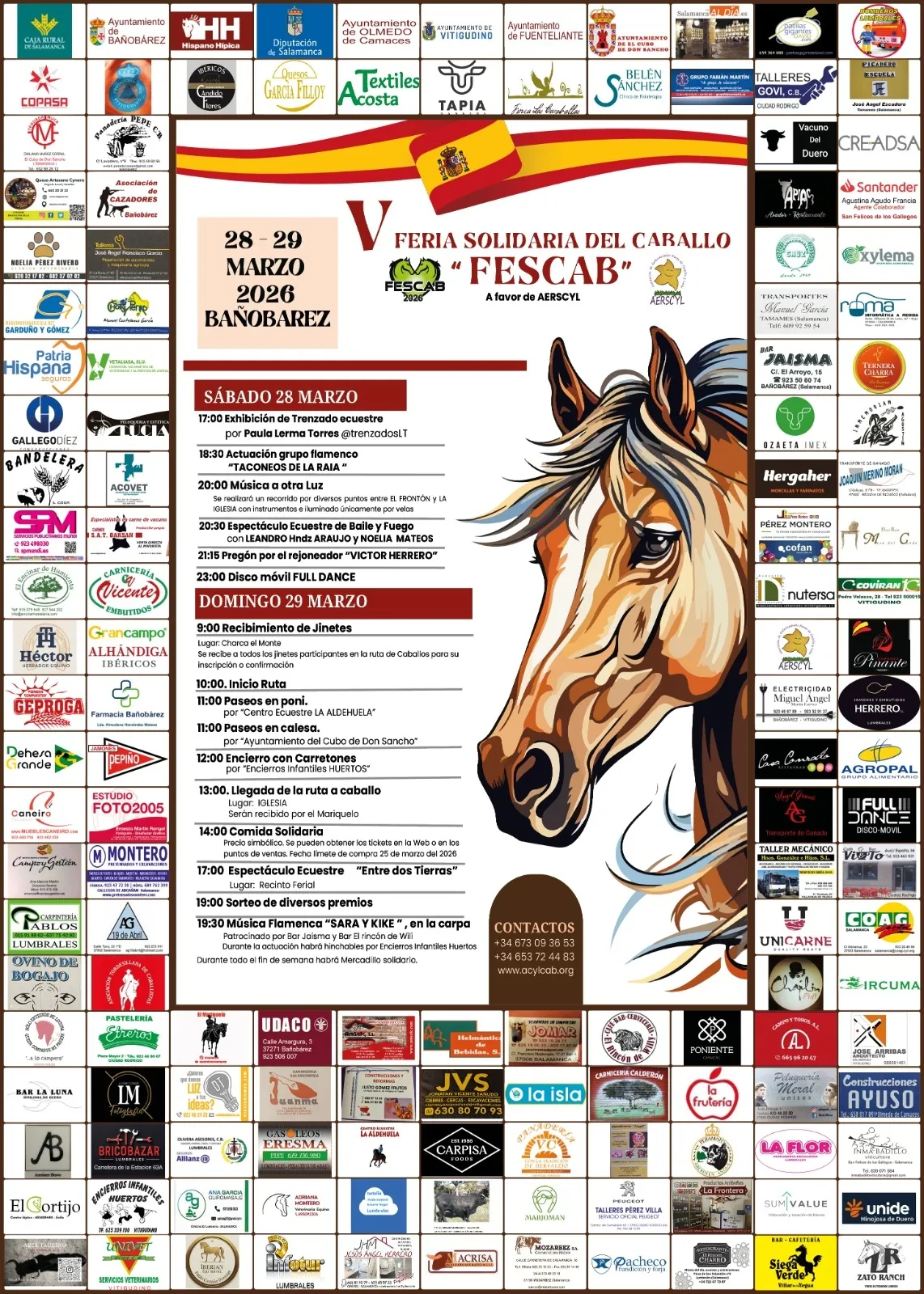 Foto 3 - Ba&ntilde;ob&aacute;rez celebra la V Feria Solidaria del Caballo a favor de la Asociaci&oacute;n de Enfermedades Raras AERSCyL