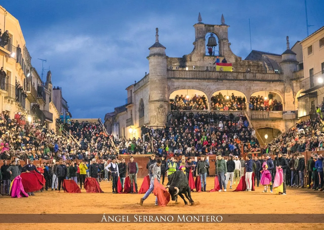 Foto 2 - Sale a la venta el calendario del Carnaval del Toro 2026/27