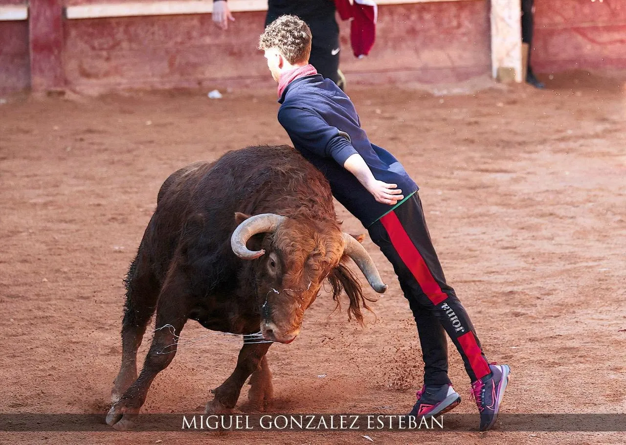 Foto 5 - Sale a la venta el calendario del Carnaval del Toro 2026/27