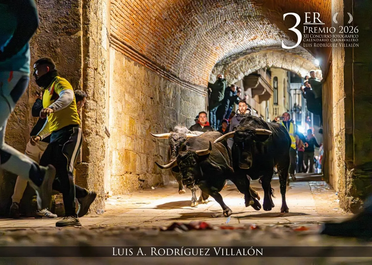 Foto 7 - Sale a la venta el calendario del Carnaval del Toro 2026/27