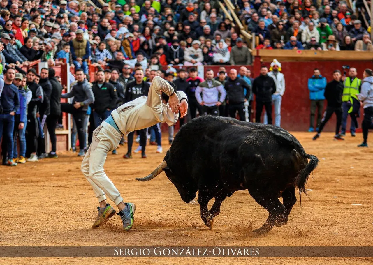Foto 9 - Sale a la venta el calendario del Carnaval del Toro 2026/27