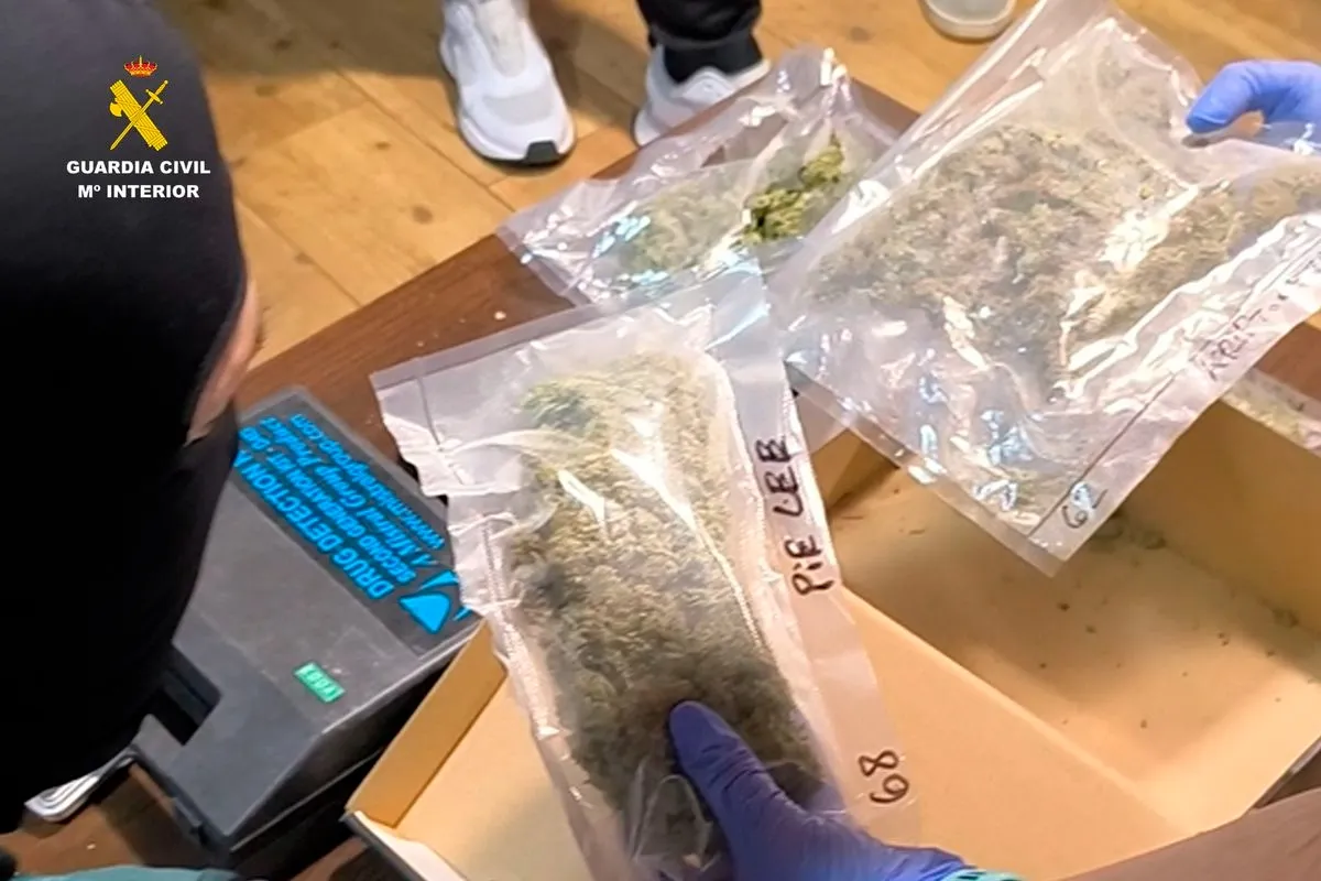 Desmantelados un punto de venta y dos 'guarderías' de droga en Guijuelo. Foto de la Guardia Civil