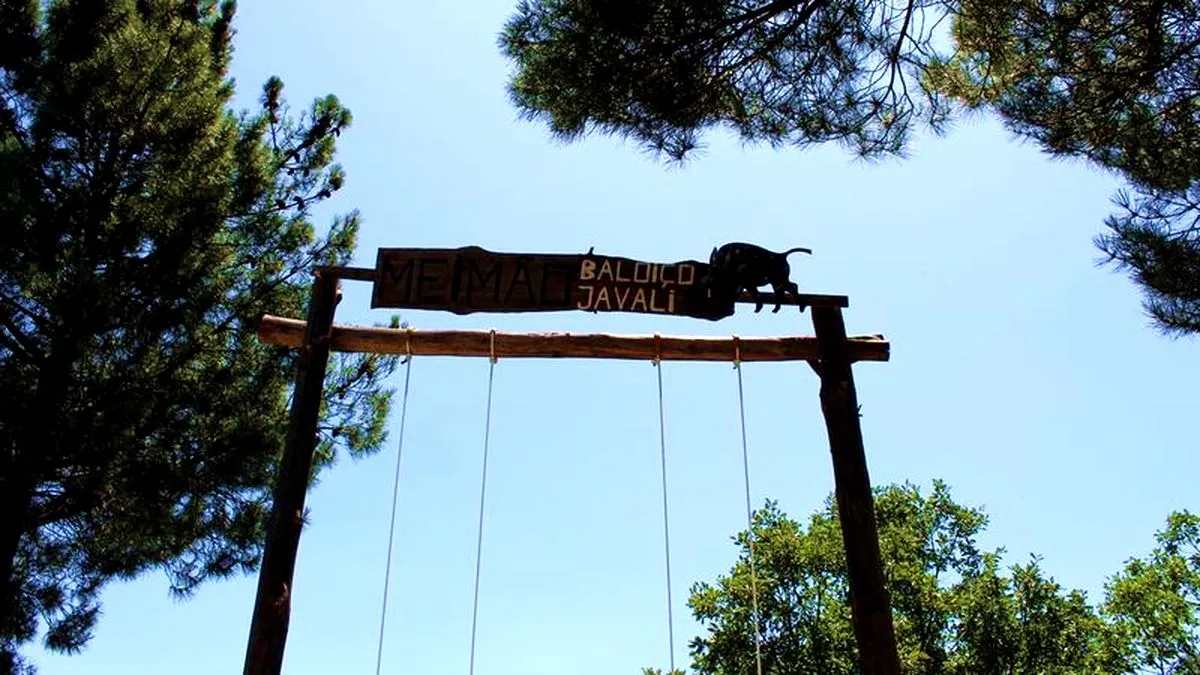 'Baloiço do Javali', Meimão (Portugal) 