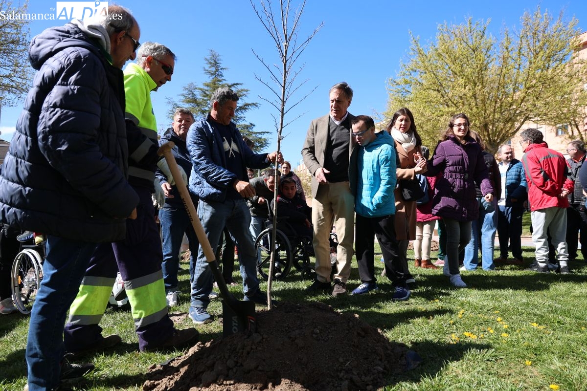 Salamanca crea el Bosque de la Inclusión y eleva su gasto social