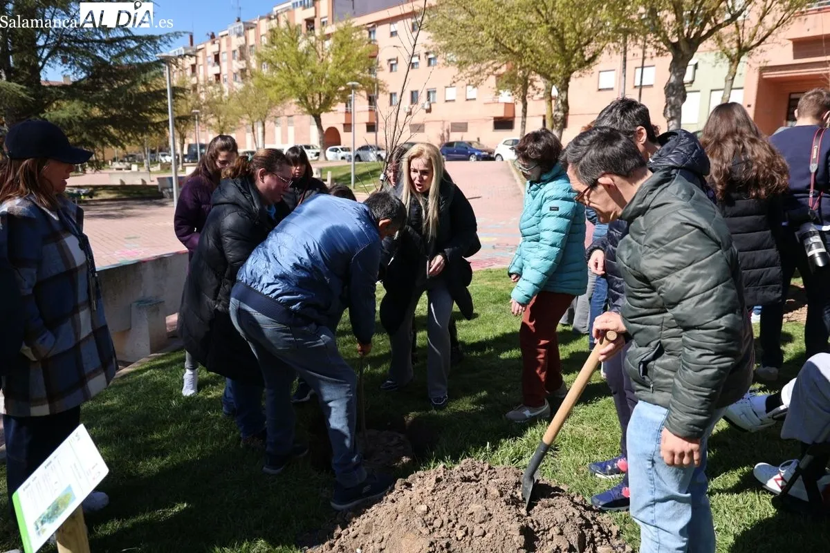 Salamanca crea el Bosque de la Inclusión en la calle Antonio Montesinos del barrio de Prosperidad, junto al Camino de las Aguas. Foto de David Sañudo