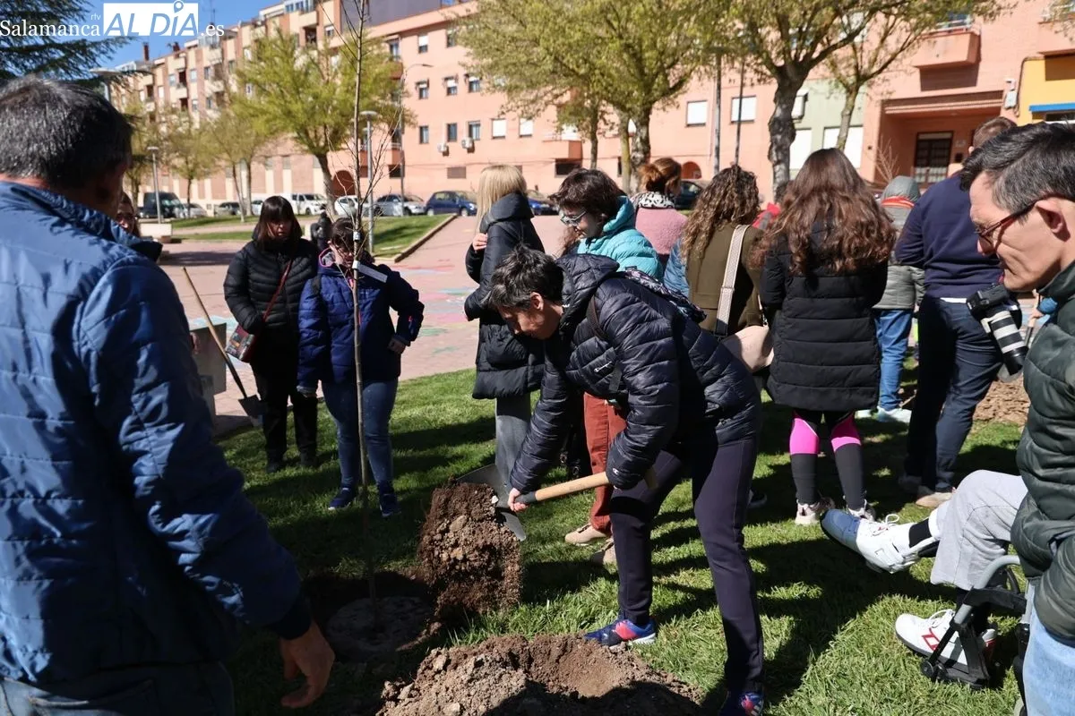 Salamanca crea el Bosque de la Inclusión en la calle Antonio Montesinos del barrio de Prosperidad, junto al Camino de las Aguas. Foto de David Sañudo