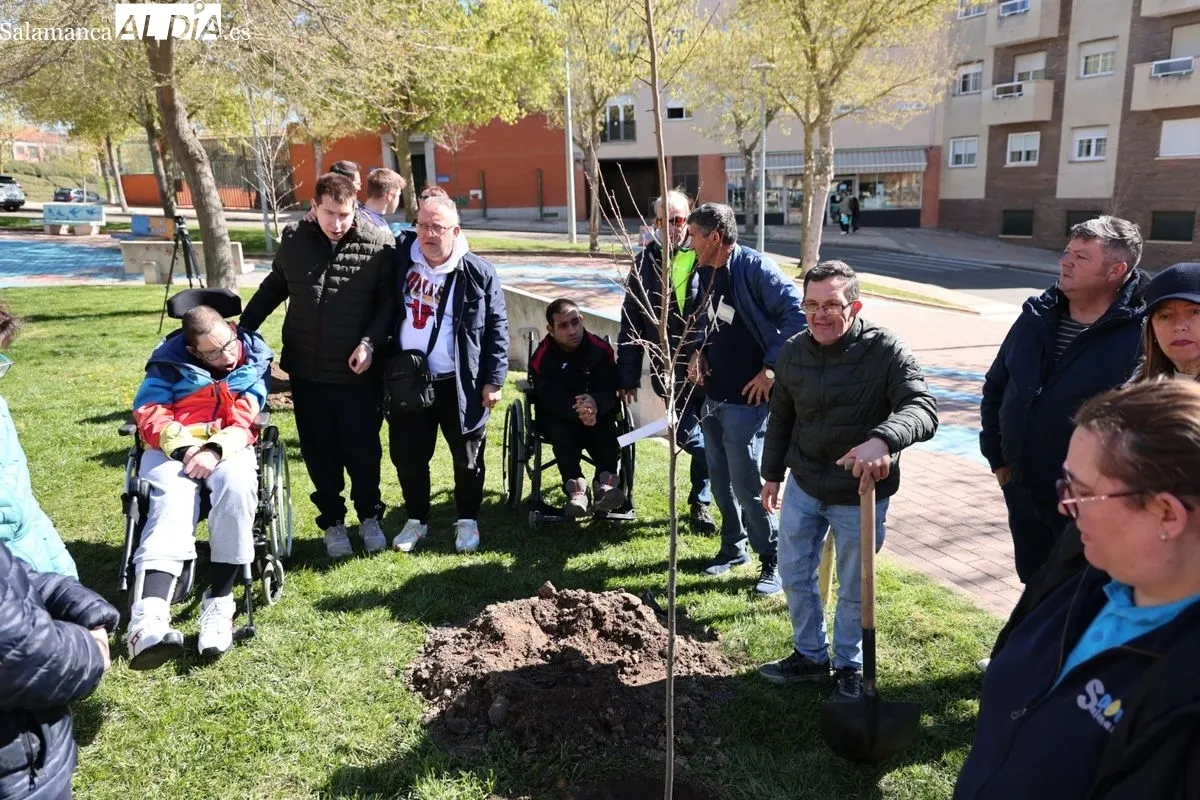 Salamanca crea el Bosque de la Inclusión en la calle Antonio Montesinos del barrio de Prosperidad, junto al Camino de las Aguas. Foto de David Sañudo