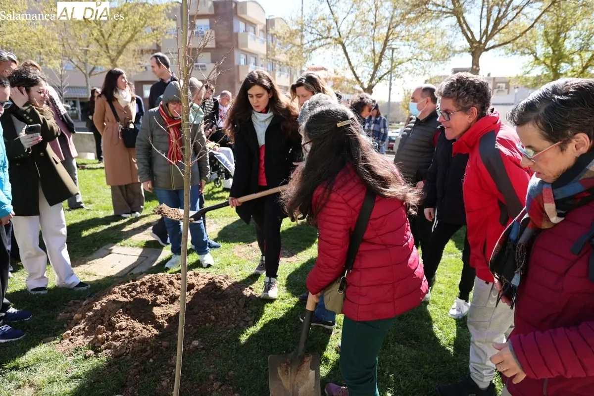 Salamanca crea el Bosque de la Inclusión en la calle Antonio Montesinos del barrio de Prosperidad, junto al Camino de las Aguas. Foto de David Sañudo