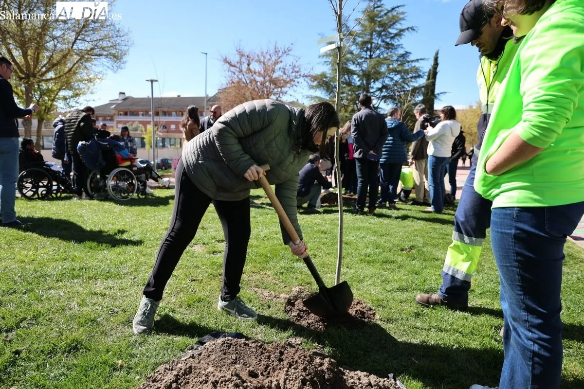 Salamanca crea el Bosque de la Inclusión en la calle Antonio Montesinos del barrio de Prosperidad, junto al Camino de las Aguas. Foto de David Sañudo