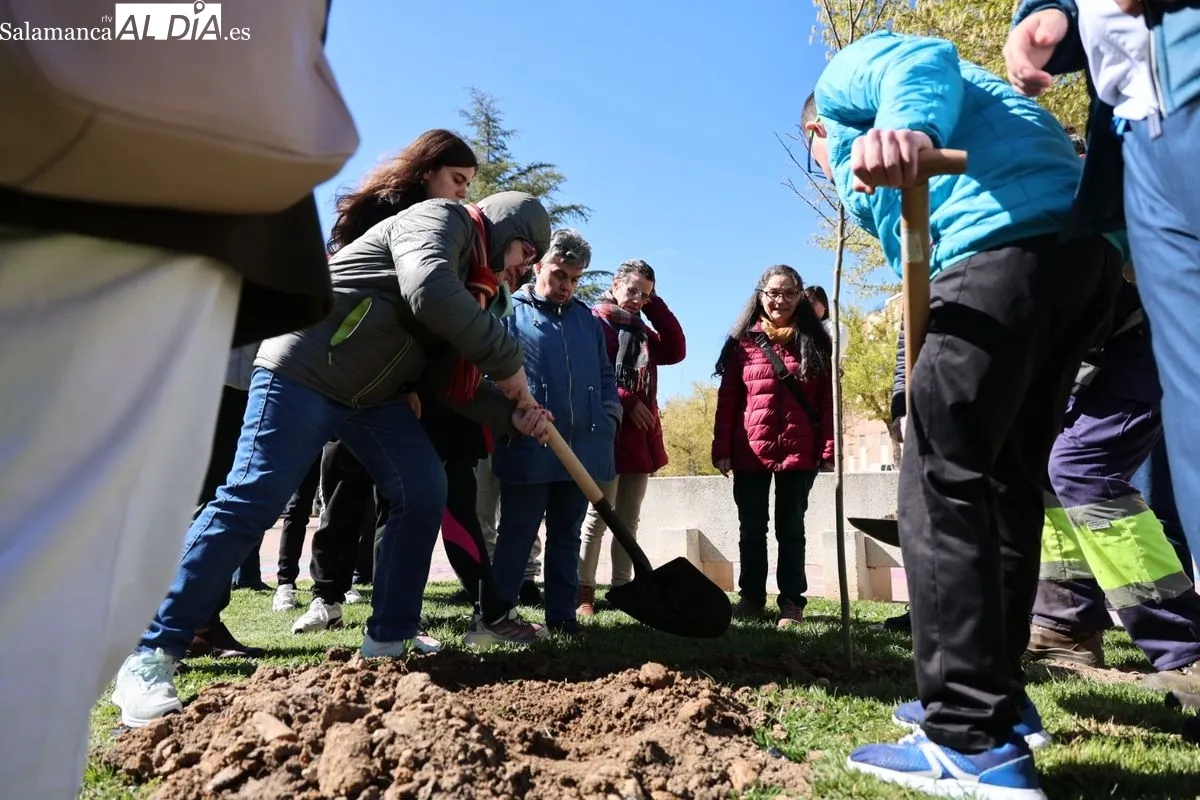 Salamanca crea el Bosque de la Inclusión en la calle Antonio Montesinos del barrio de Prosperidad, junto al Camino de las Aguas. Foto de David Sañudo