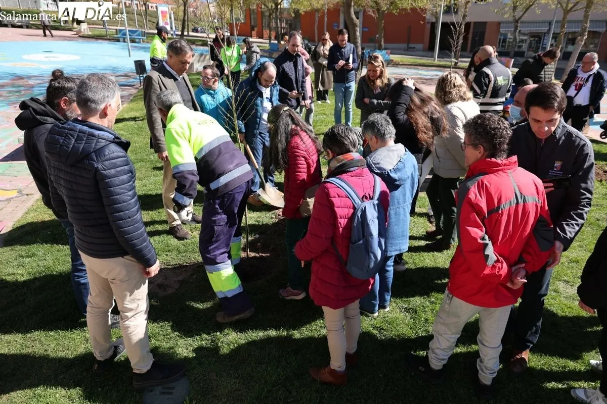 Salamanca crea el Bosque de la Inclusión en la calle Antonio Montesinos del barrio de Prosperidad, junto al Camino de las Aguas. Foto de David Sañudo