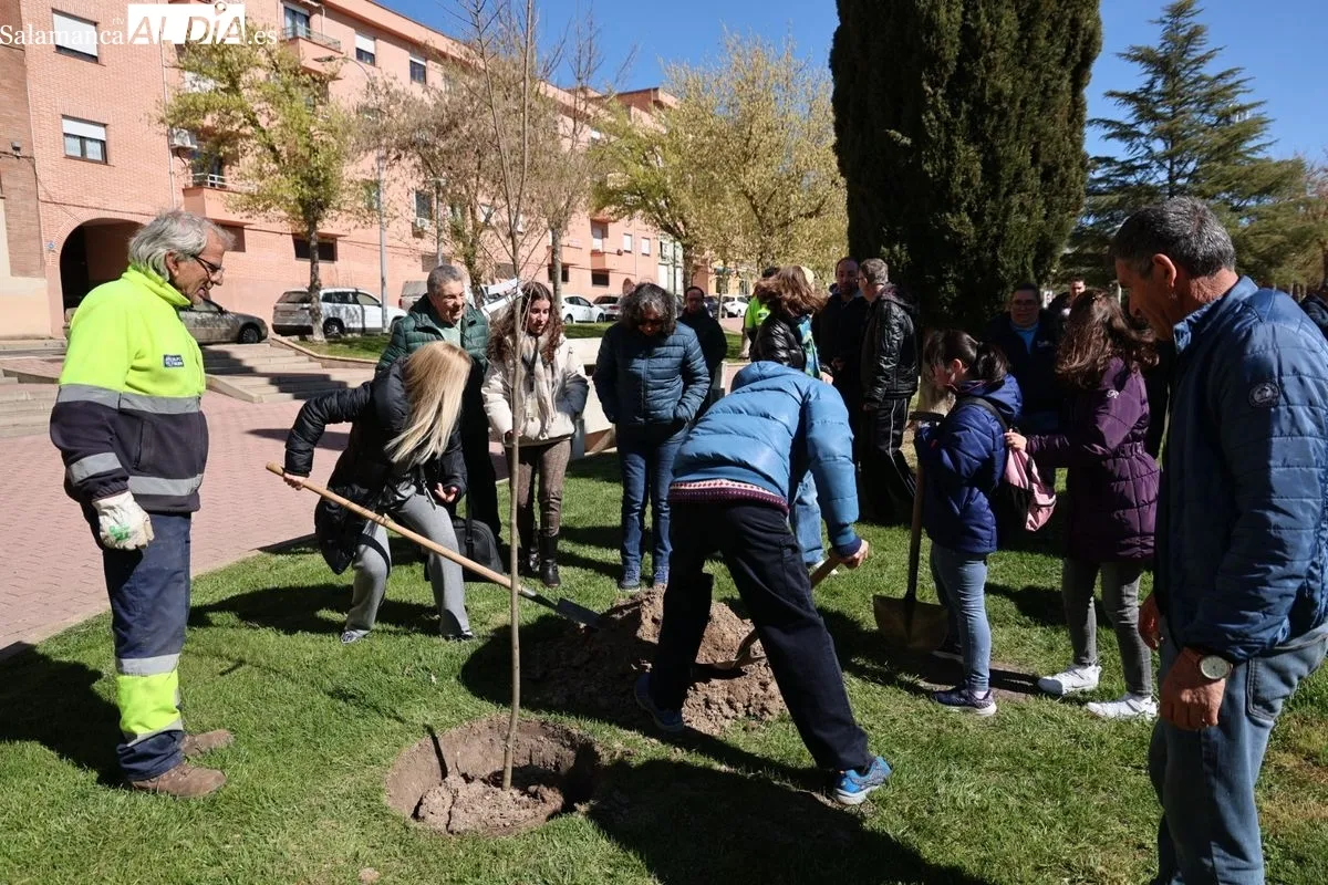 Salamanca crea el Bosque de la Inclusión en la calle Antonio Montesinos del barrio de Prosperidad, junto al Camino de las Aguas. Foto de David Sañudo