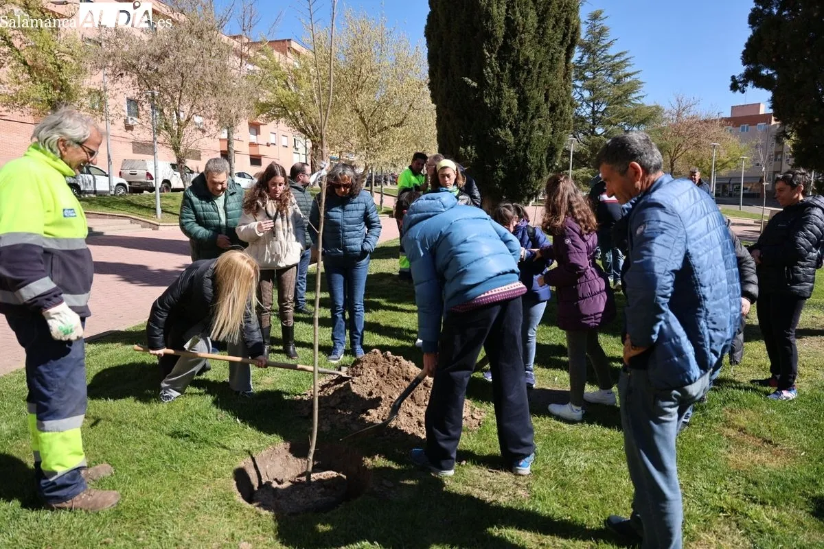 Salamanca crea el Bosque de la Inclusión en la calle Antonio Montesinos del barrio de Prosperidad, junto al Camino de las Aguas. Foto de David Sañudo