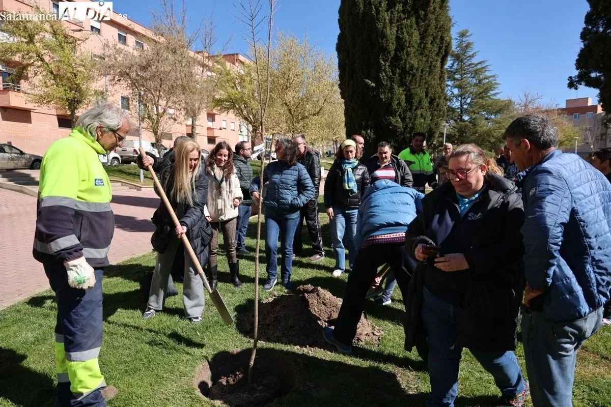 Salamanca crea el Bosque de la Inclusión en la calle Antonio Montesinos del barrio de Prosperidad, junto al Camino de las Aguas. Foto de David Sañudo