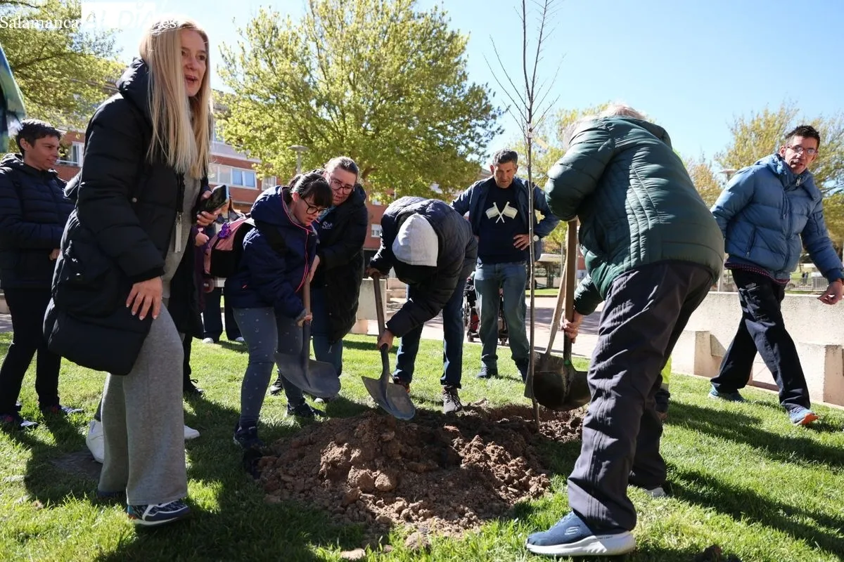 Salamanca crea el Bosque de la Inclusión en la calle Antonio Montesinos del barrio de Prosperidad, junto al Camino de las Aguas. Foto de David Sañudo