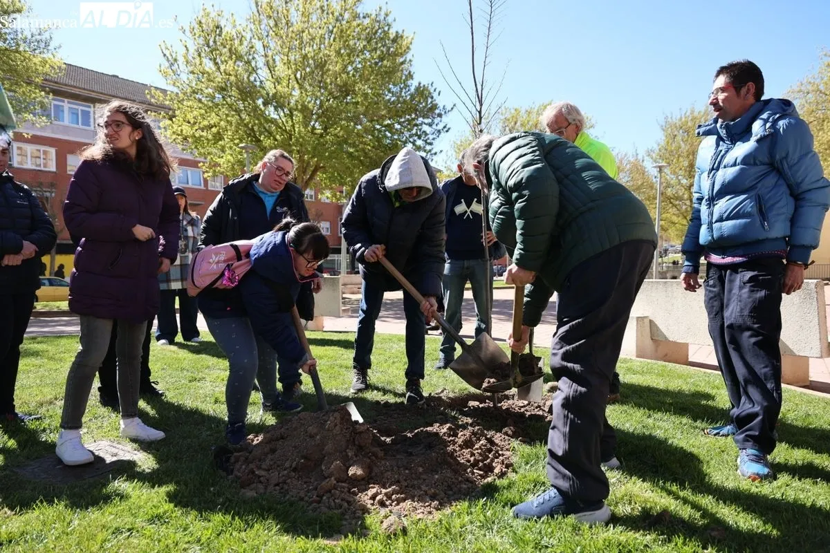 Salamanca crea el Bosque de la Inclusión en la calle Antonio Montesinos del barrio de Prosperidad, junto al Camino de las Aguas. Foto de David Sañudo