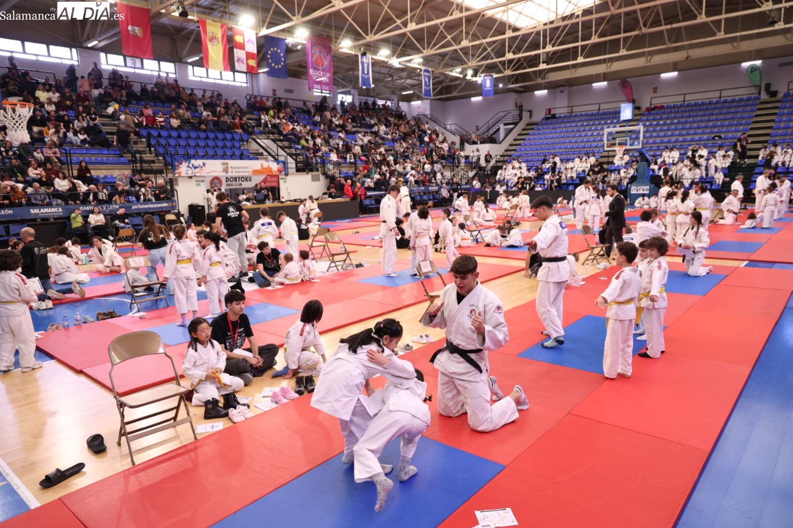 FOTOS | Éxito total del XI Campeonato Doryoku ‘Irene Martín Ruano’ con más de 1.000 judocas en Würzburg