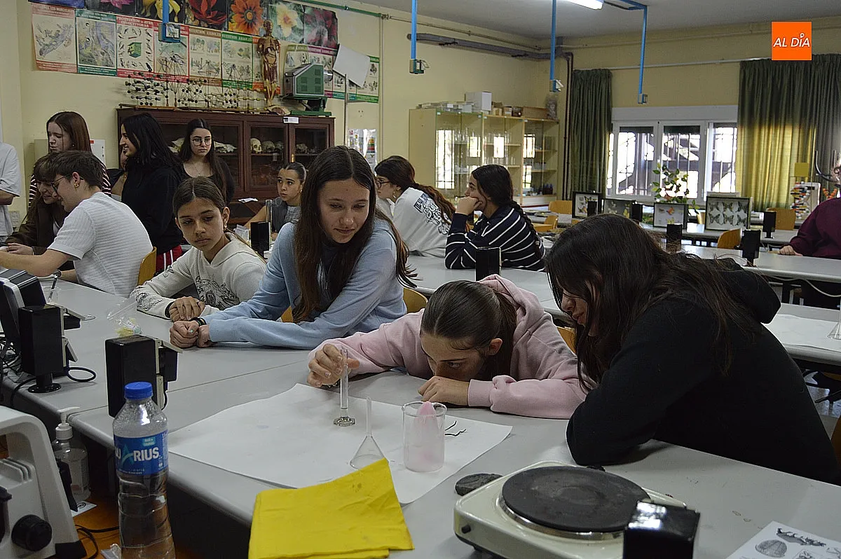 Semana Cultural IES Fray Diego Tadeo y torneo de ajedrez entre el IES Fray Diego Tadeo y IES Tierra 