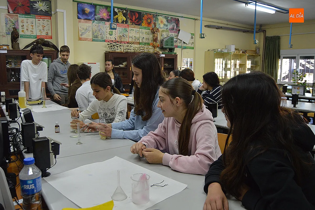 Semana Cultural IES Fray Diego Tadeo y torneo de ajedrez entre el IES Fray Diego Tadeo y IES Tierra 