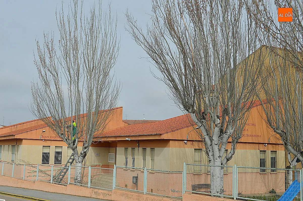 Trabajos de jardinería 