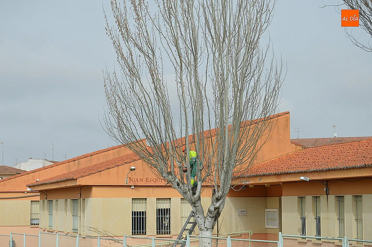 Trabajos de jardinería 