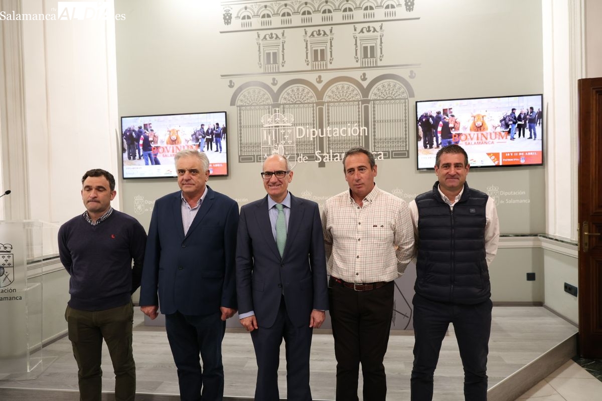 Feria Bovinum 2026: Salamanca exhibirá 221 ejemplares de vacuno