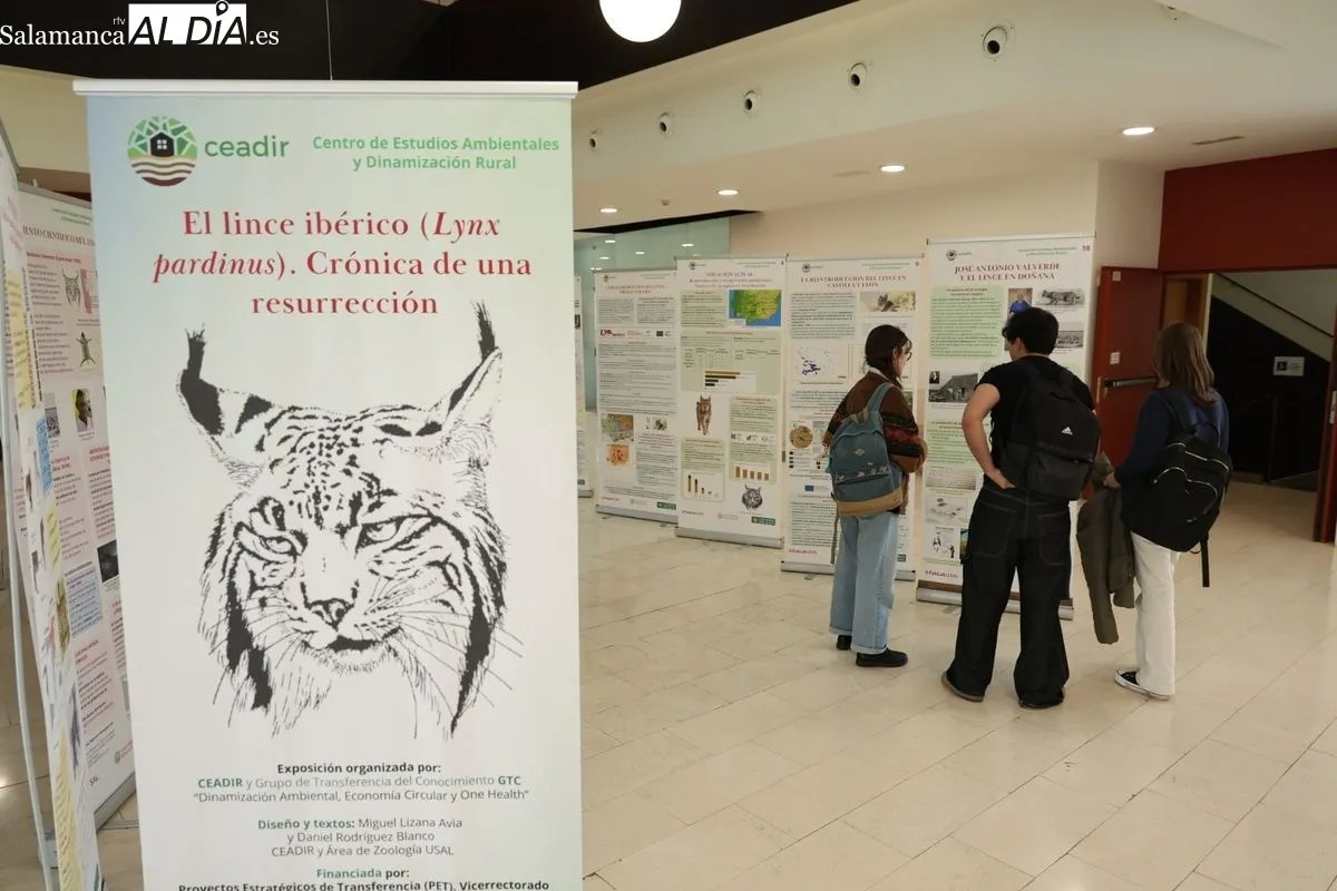 Exposición El lince ibérico (Lynx pardinus): Crónica de una resurrección, en la Facultad de Biología. Foto de David Sañudo