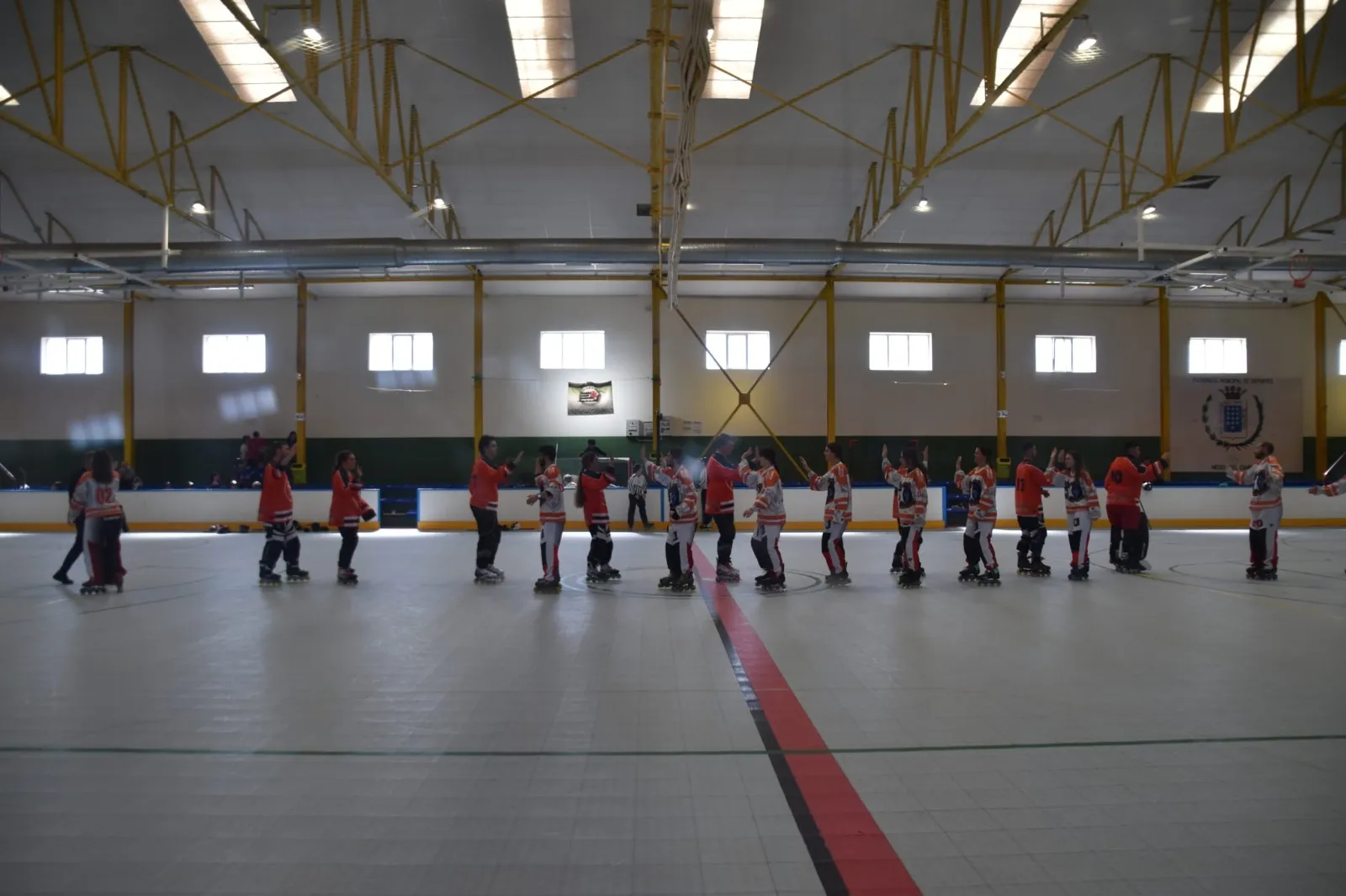 Farinatos Roleros Liga Regional de Hockey Línea