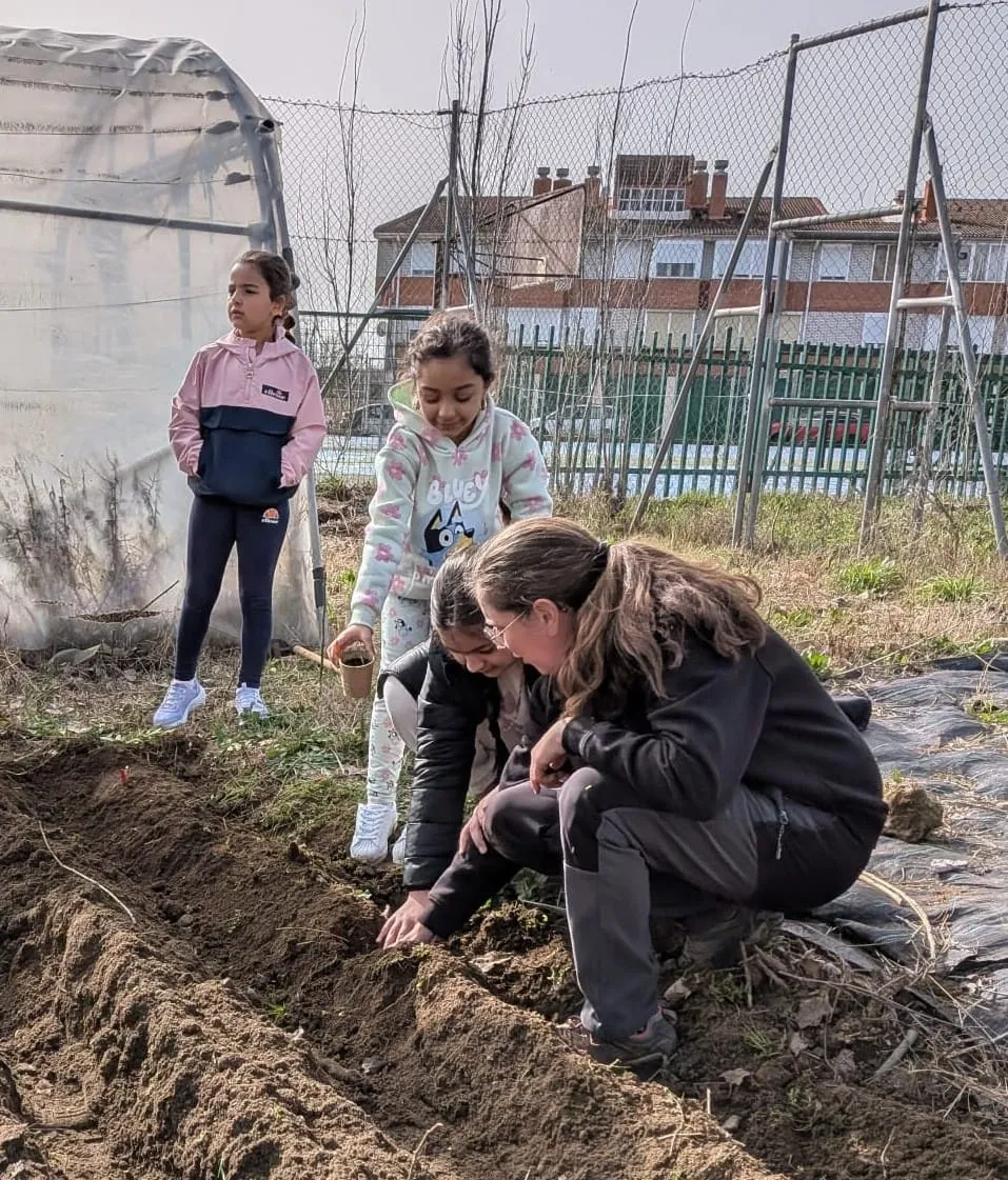 Foto 8 - C&aacute;ritas desarrolla un programa de huertos escolares en varios centros de Ciudad Rodrigo